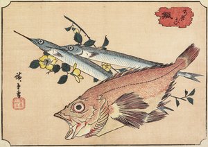 Rockfish and Halfbeak, begyndelsen af det 19. århundrede