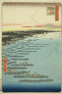 Samezu core st member th Shinagawa (det sydlige Shinagawa Samezu kyst), fra seriens ``Ridge dre d fa net s views of Edo (Et hundrede berømte seværdigheder i Edo)