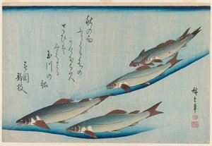 School of Five Seat Trout fra Series Fish, ca. 1835 (træblok farvetryk) af Utagawa Hiroshige