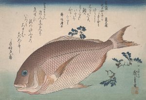 Havbrasen og Sansho Peber, ca. 1830