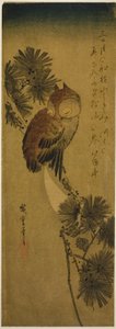 Småhornet ugle, fyrretræ og halvmåne af Utagawa Hiroshige