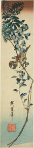 Spurv og blåregn af Utagawa Hiroshige