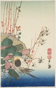 Spurv på en hængende plantekasse af Utagawa Hiroshige