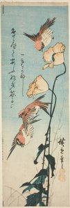 Spurve og valmuer af Utagawa Hiroshige