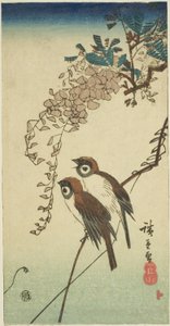 Spurve og blåregn af Utagawa Hiroshige