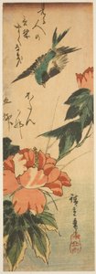 Svale og hibiscus af Utagawa Hiroshige
