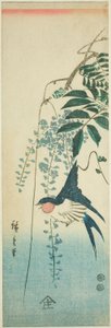 Svale og blåregn af Utagawa Hiroshige