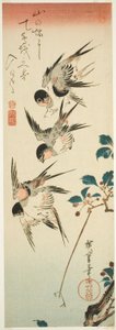 Svaler og kirsebærblomster af Utagawa Hiroshige