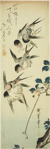 Svaler og blomstrende gren af Utagawa Hiroshige