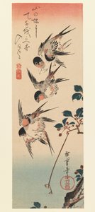Tanzaku, Fire Svaler, 1832 (træbloktryk i farver) af Utagawa Hiroshige