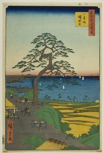Det rustningshængende fyrretræ ved Hakkeizaka (Hakkeizaka Yoroikakematsu), fra serien "One Hundred Famous Views of Edo (Meisho Edo hyakkei)" af Utagawa Hiroshige