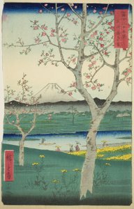 Udkanten af Koshigaya i Musashi-provinsen (Musashi Koshigaya zai), fra serien "Seksogtredive udsigter over Mount Fuji (Fuji sanjurokkei)" af Utagawa Hiroshige