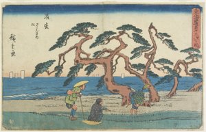 Fyrremarken i Hamamatsu, 1841-1842