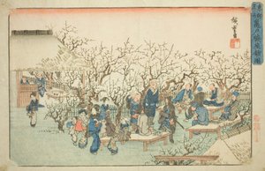 Blommehaven ved Komeido (Kameido ume yashiki no zu), fra serien "Famous Places in the Eastern Capital (Toto meisho)" af Utagawa Hiroshige