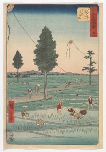 Otteogtyve, Fukuroi, Edo-periode, 1855 (træblok i farver)