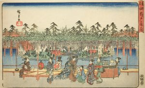 Wisteria at Kameido (Kameido Tenjin fuji hana), fra serien "Famous Places in the Eastern Capital (Toto meisho)" af Utagawa Hiroshige