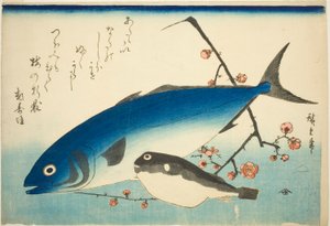 Gulhale, blæsefisk og blommegren af Utagawa Hiroshige