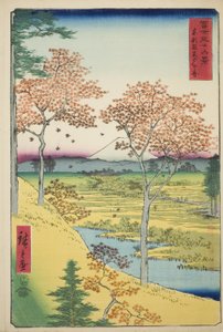 Yuhi Hill ved Meguro i den østlige hovedstad (Toto Meguro Yuhigaoka), fra serien "Thirty-six Views of Mount Fuji (Fuji sanjurokkei)" af Utagawa Hiroshige