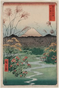 ōtsuki Plain i Kai-provinsen (Kai ōtsuki no hara), fra serien 36-visninger af Fuji-bjerget af Utagawa Hiroshige