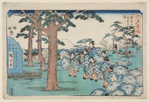 Visning af kirsebærblomster ved Asuka Hill (Asukayama hanami no zu) (træblok i farver)