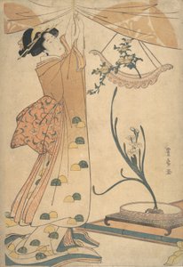 En kvinde, der binder et gardin, et blomsterarrangement af krysantemum i en bådformet ha..., ca. 1805. af Utagawa Toyohiro
