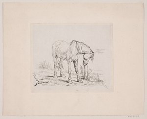 En gammel hest af Valdemar Irminger