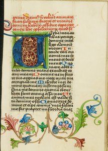 Dekoreret initial V