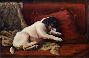 En eftermiddags snooze (farve litho)