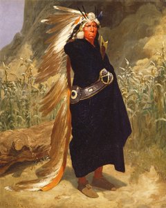 Portræt af en indianerhøvding, 1875