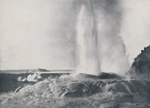 Geyser, New Zealand, 1924 af Valentine and Sons Ltd