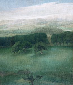 Bjerge i Cardiganshire