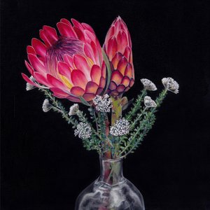 King Protea-buket