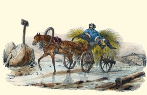 Le Paysan Russe. i "" Album Grotesque, Choices of Outstanding Types", illustrationer af Victor Adam, Paris, omkring 1850. af Victor Adam