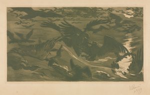 Rovfugle, 1893.