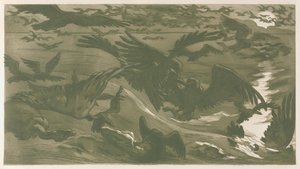 Rovfugle, 1893.