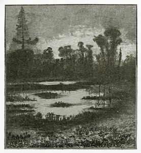 Les Chants du Crépuscule, 1800-tallet (bw-gravering) af Victor Hugo