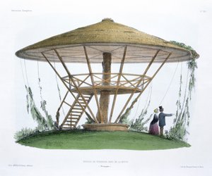 Robinsons parasol, Parc de la Motte, Bourgogne, fra 
