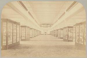 Pl. III. Hovedhistorie: Fugle