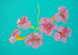 Tegning af lyserøde blomster af Viktoriia Saunina