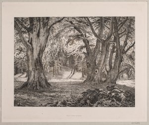 Det indre af en skov af Vilhelm Kyhn