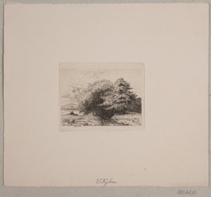 Udkant af en skov af Vilhelm Kyhn