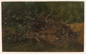 Studie af en træstub af Vilhelm Petersen