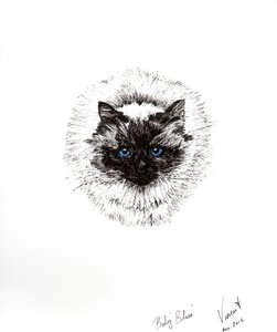 Babybold, 2015, (blæk på papir) af Vincent Alexander Booth