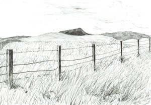 Culter Fell fra Hartfell, 2005 af Vincent Alexander Booth