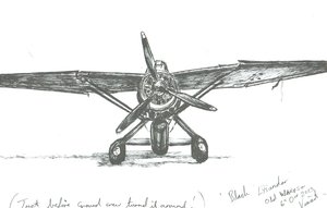 Lysander hos Old Warden, 2012 af Vincent Alexander Booth