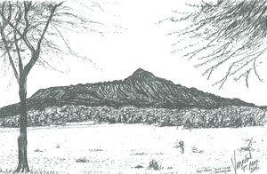 Bjerg fra bådklub ved søen Naivasha, Kenya; 2006 af Vincent Alexander Booth
