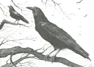 Observatører, 2011 af Vincent Alexander Booth