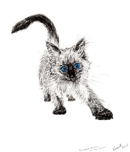On the prowl !, 2015, (blæk på papir) af Vincent Alexander Booth