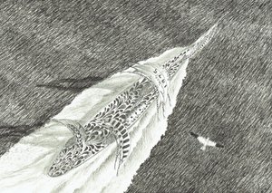 Storm Creators Cape Canaveral, 2022 af Vincent Alexander Booth