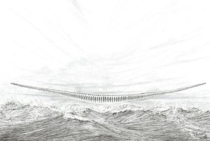 Stormskabere Cape Leveque, 2023 af Vincent Alexander Booth